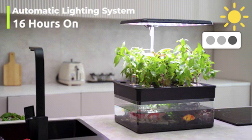 NatureCube, Desktop Aquarium & Hydroponics Growing System