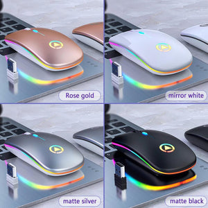 Wireless Rechargeable Mouse LED Backlit Gaming Office Accessories