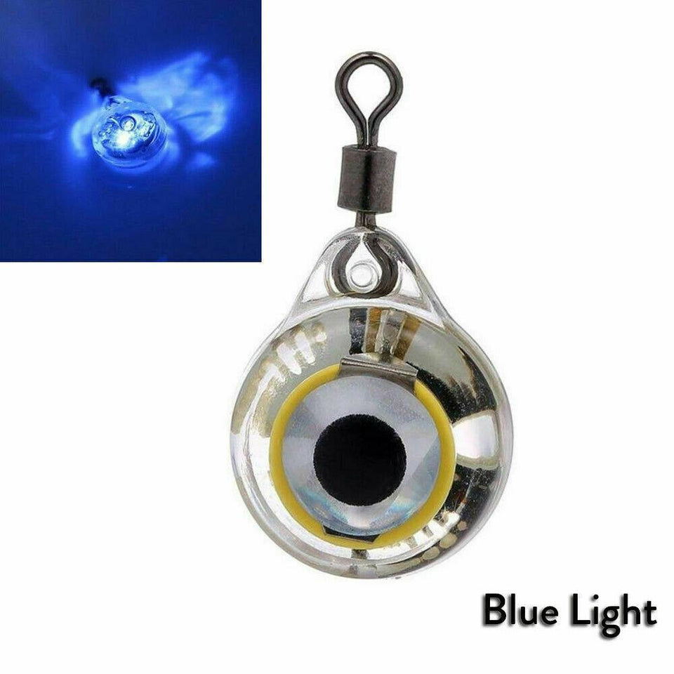 Fdit 4Pcs Deep Drop Fishing LED Lure Light Waterproof Bait Light Blue With  Box 