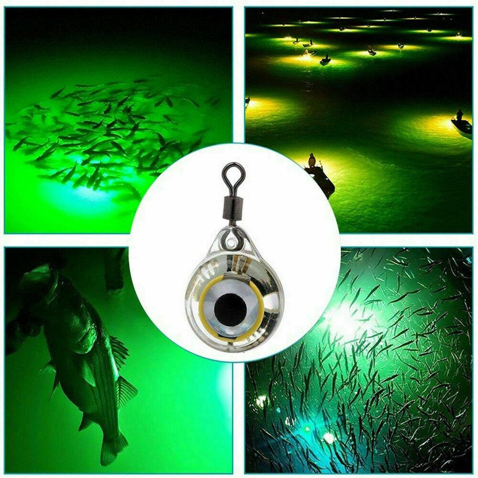 Fishing Light Attractor LED Ice Fishing Lure Fish Attractant Lamp Deep Drop  Flasher Eye Shape Underwater Bass Halibut Walleye - AliExpress
